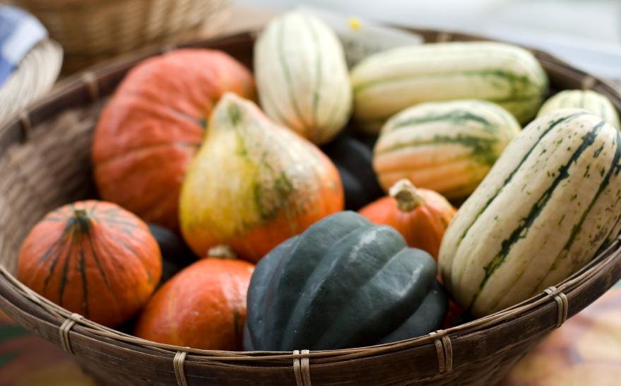 6 Things to Love About Squash Healthful Elements